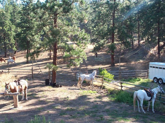 033_Kanada_Erlebnis-Natur_Schoene-Aussichten-Touristik_Canada Dream Tours_Ranch